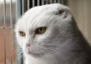 ��� �����-��-���� ����� ���!